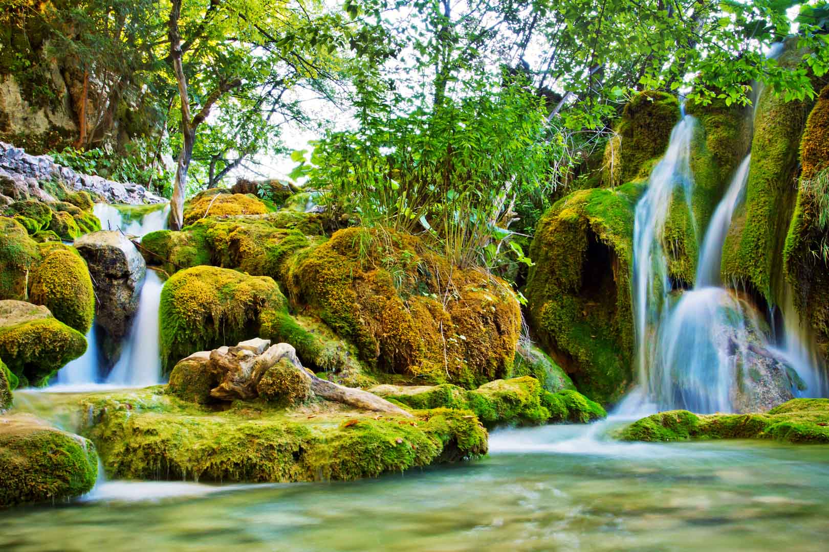 VIPcorel.com_12050.jpg