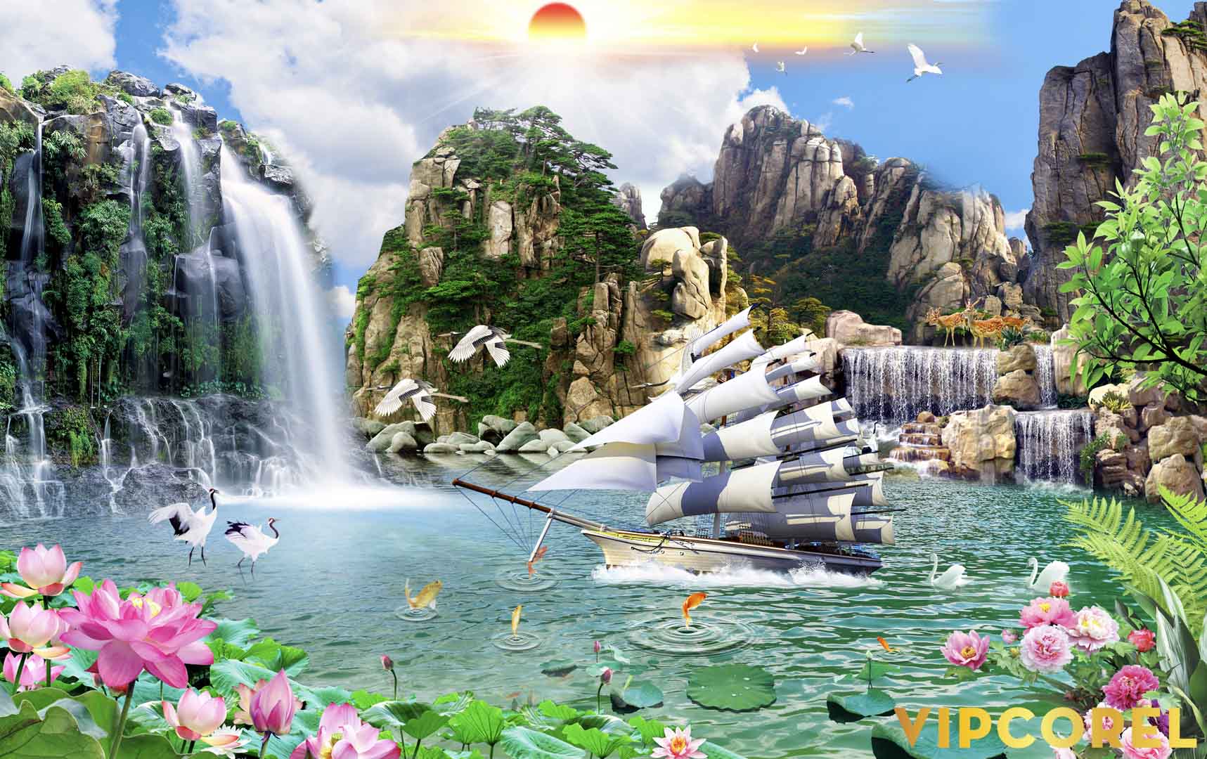 VIPcorel.com_12072.jpg