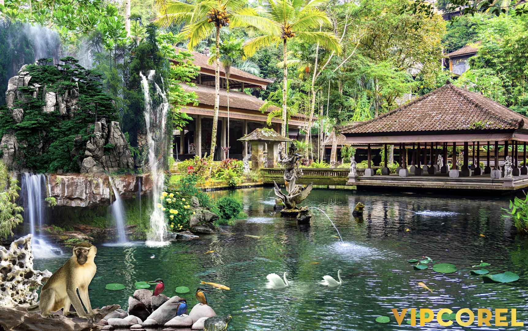 VIPcorel.com_12081.jpg