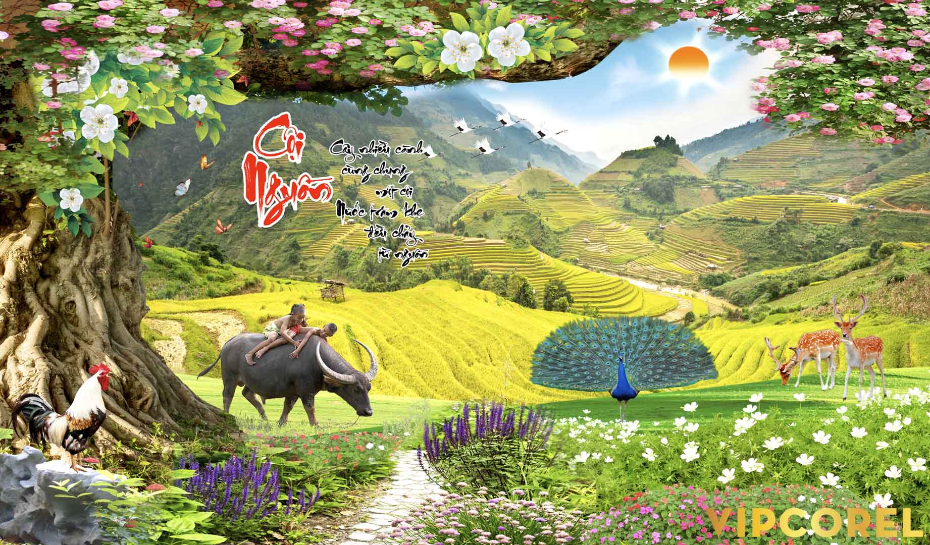 VIPcorel.com_12086.jpg