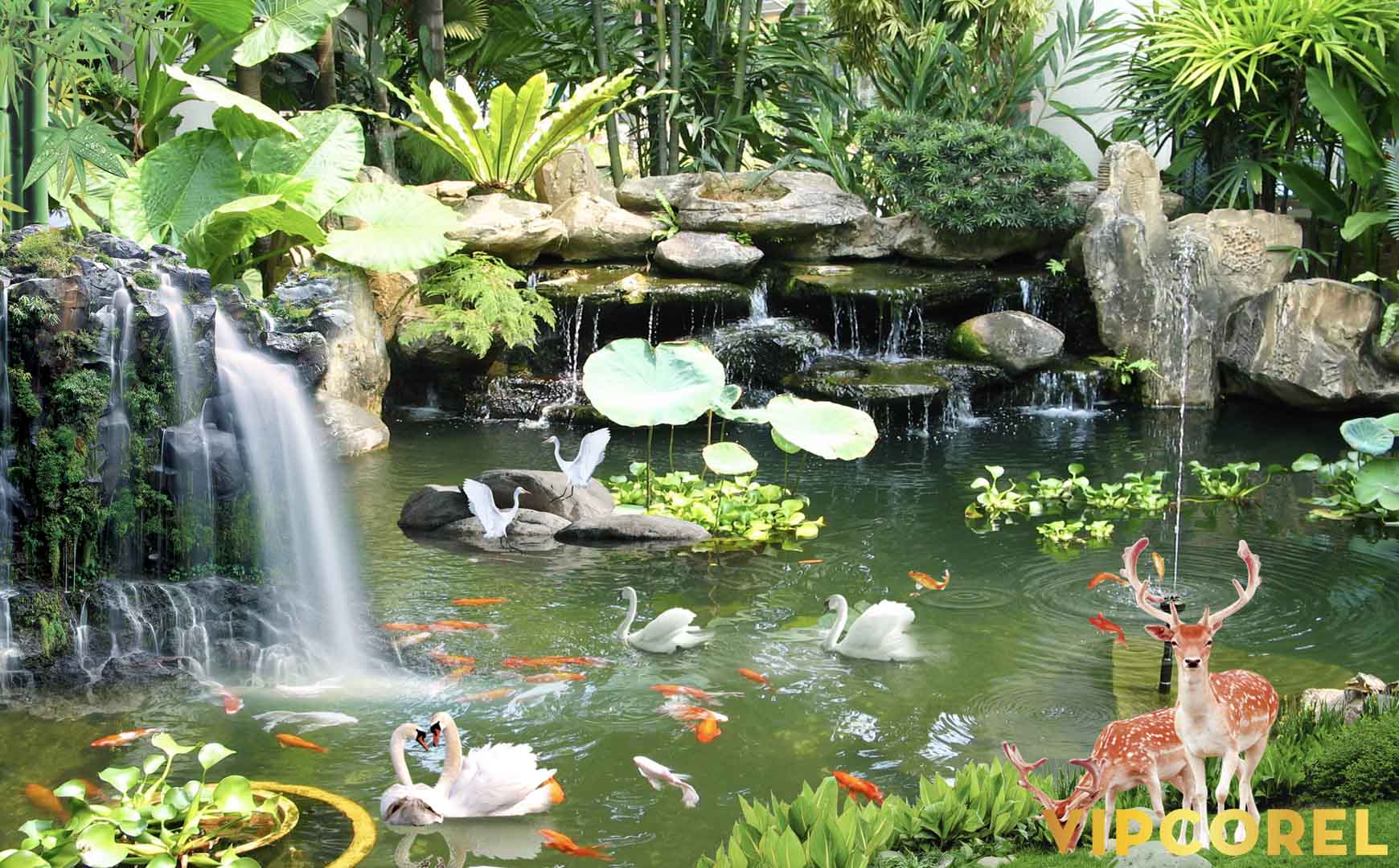 VIPcorel.com_12089.jpg