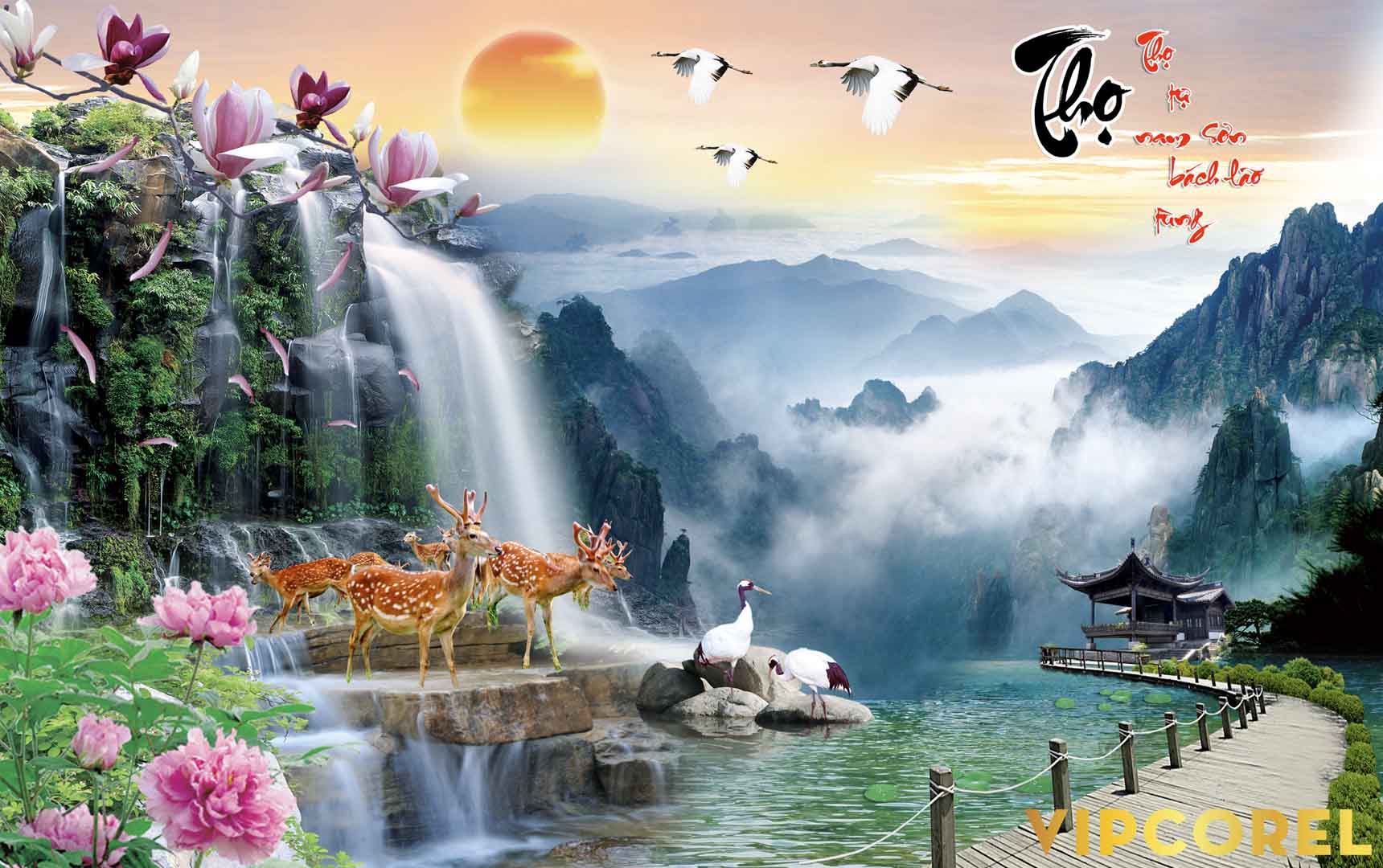 VIPcorel.com_12111.jpg