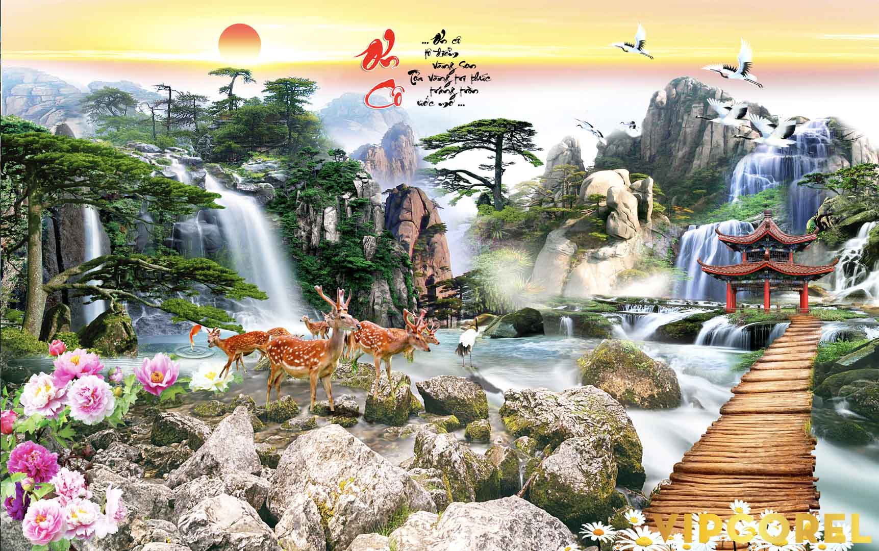 VIPcorel.com_12112.jpg