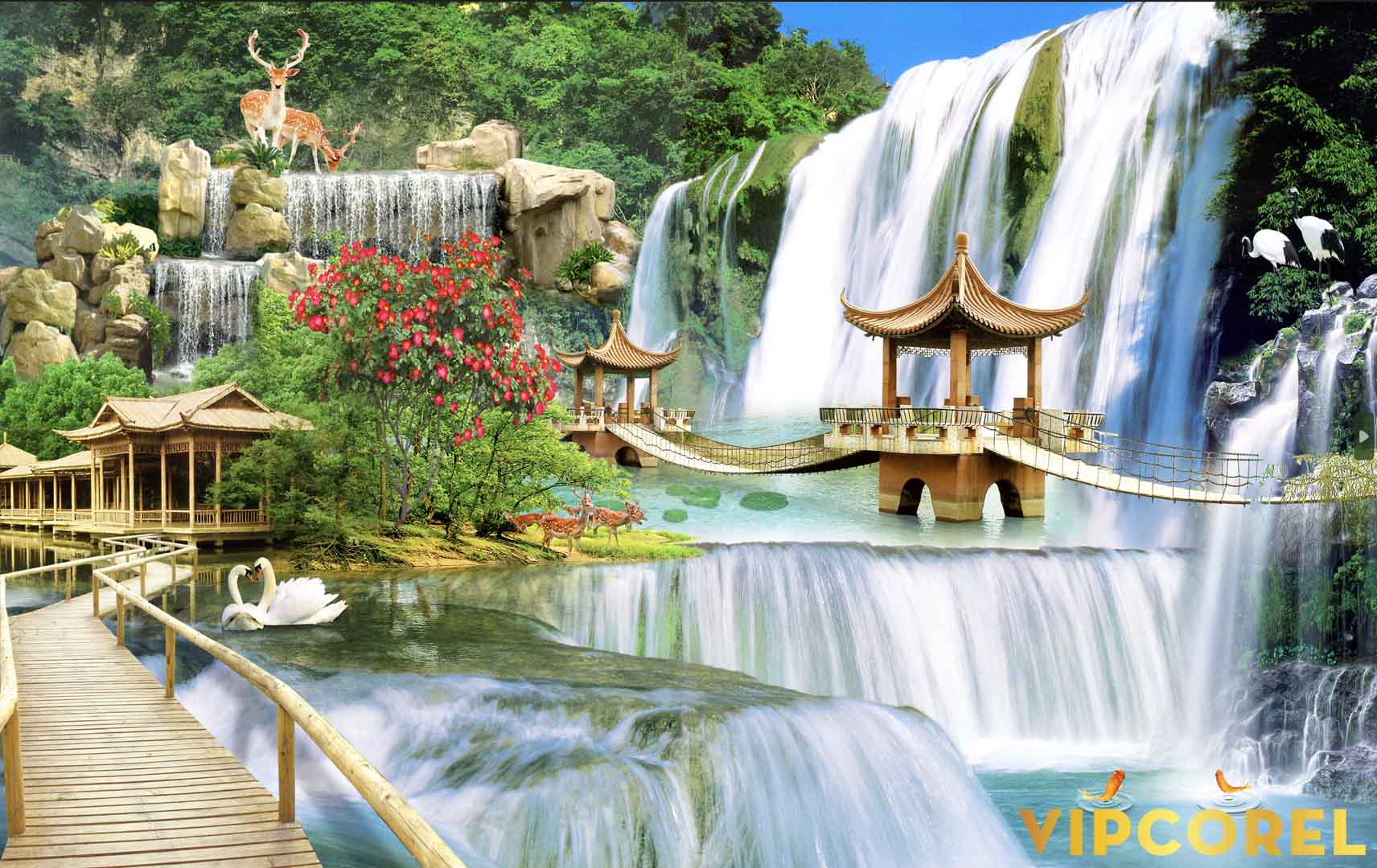 VIPcorel.com_12134.jpg
