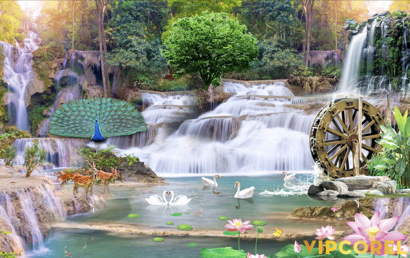 VIPcorel.com_12136.jpg