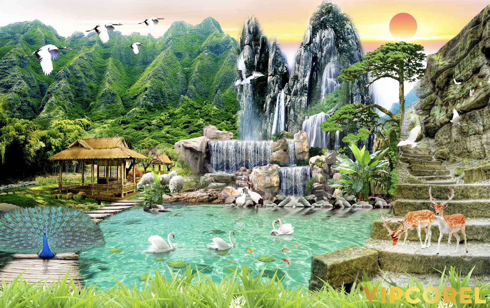 VIPcorel.com_12138.jpg