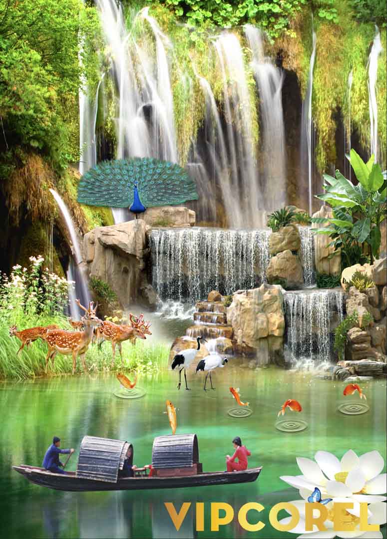 VIPcorel.com_12146.jpg