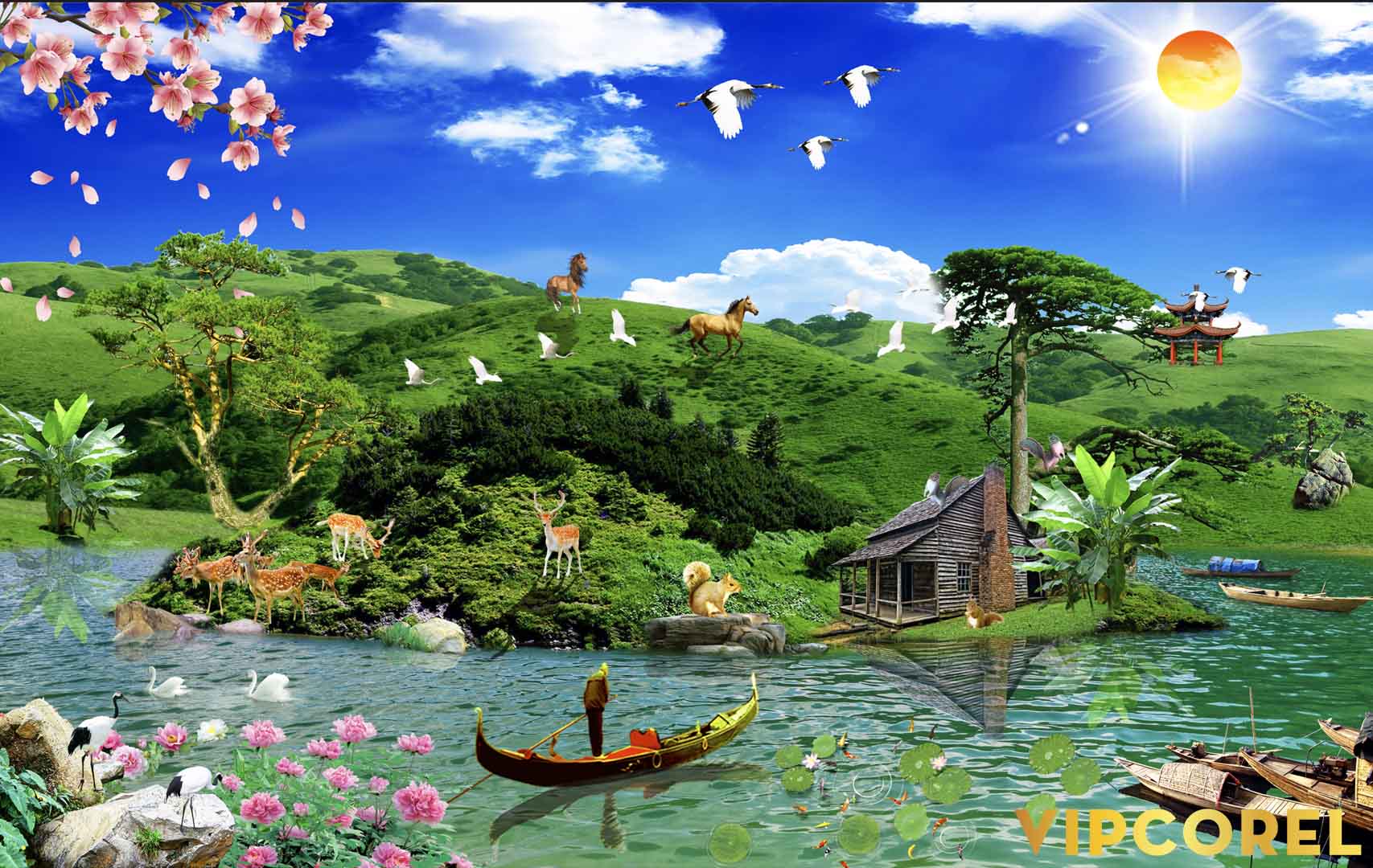 VIPcorel.com_12156.jpg