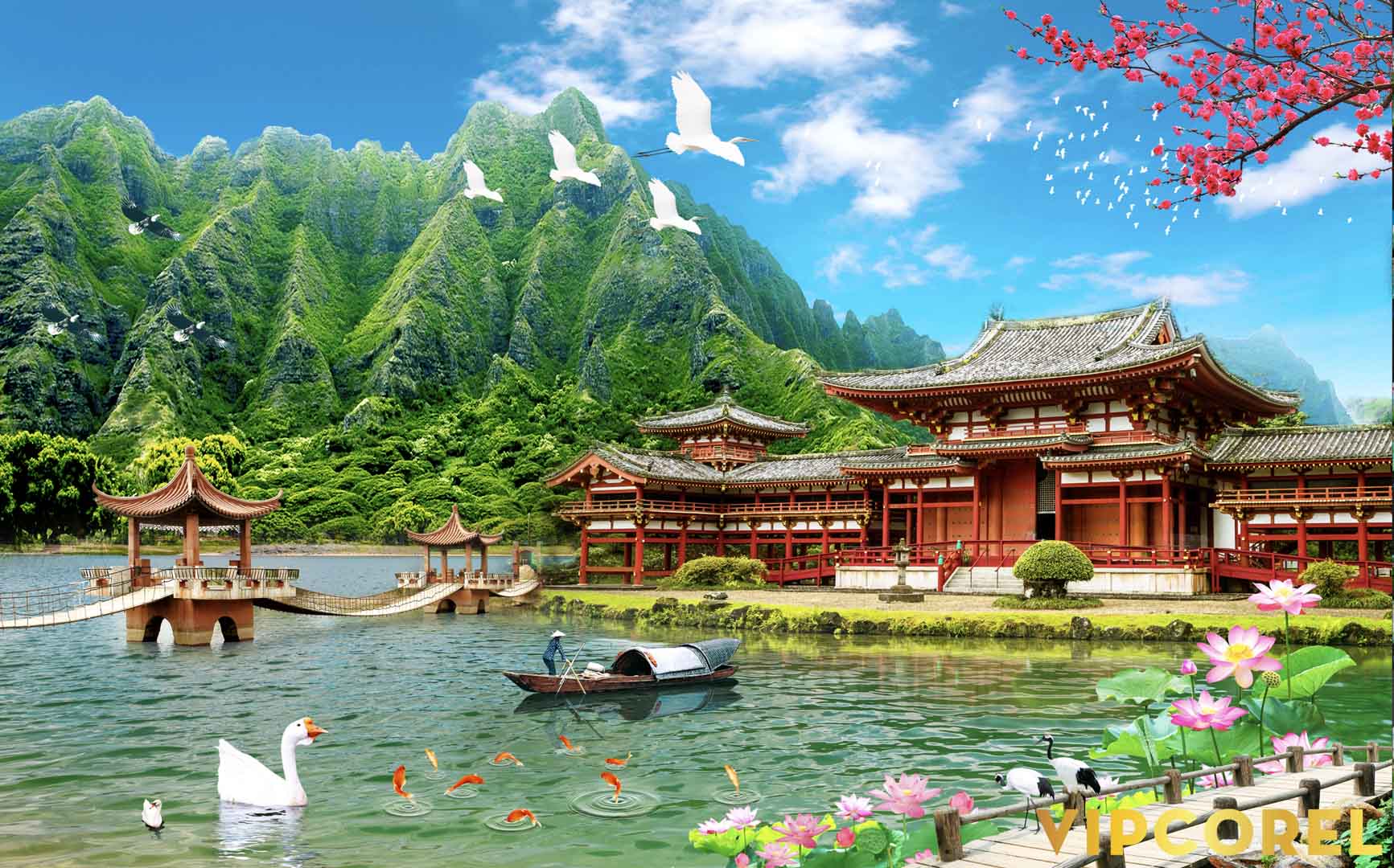 VIPcorel.com_12172.jpg