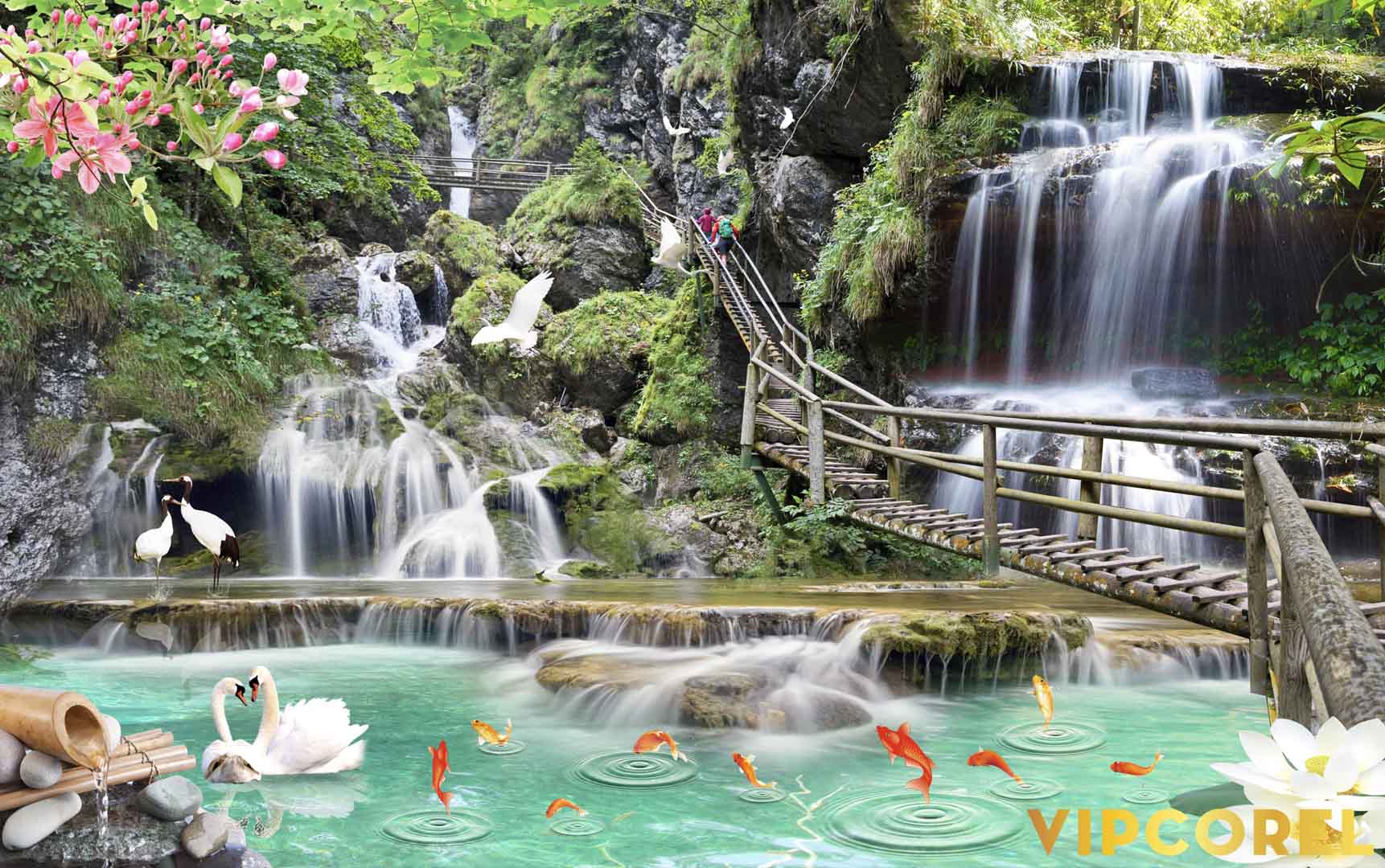 VIPcorel.com_12184.jpg