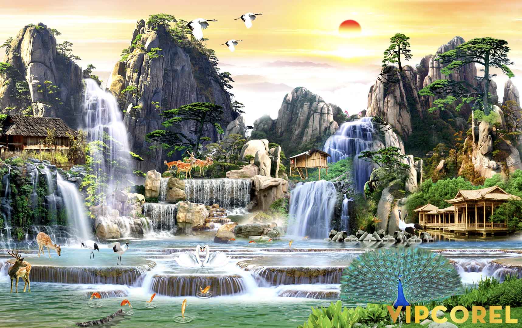 VIPcorel.com_12190.jpg