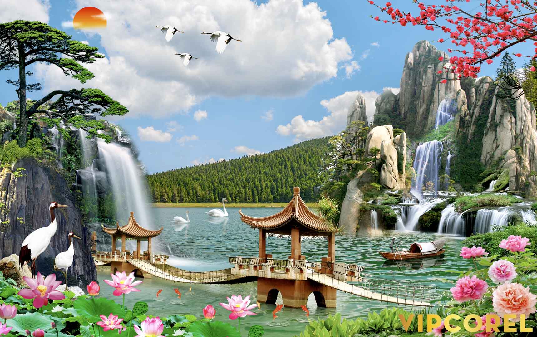VIPcorel.com_12194.jpg