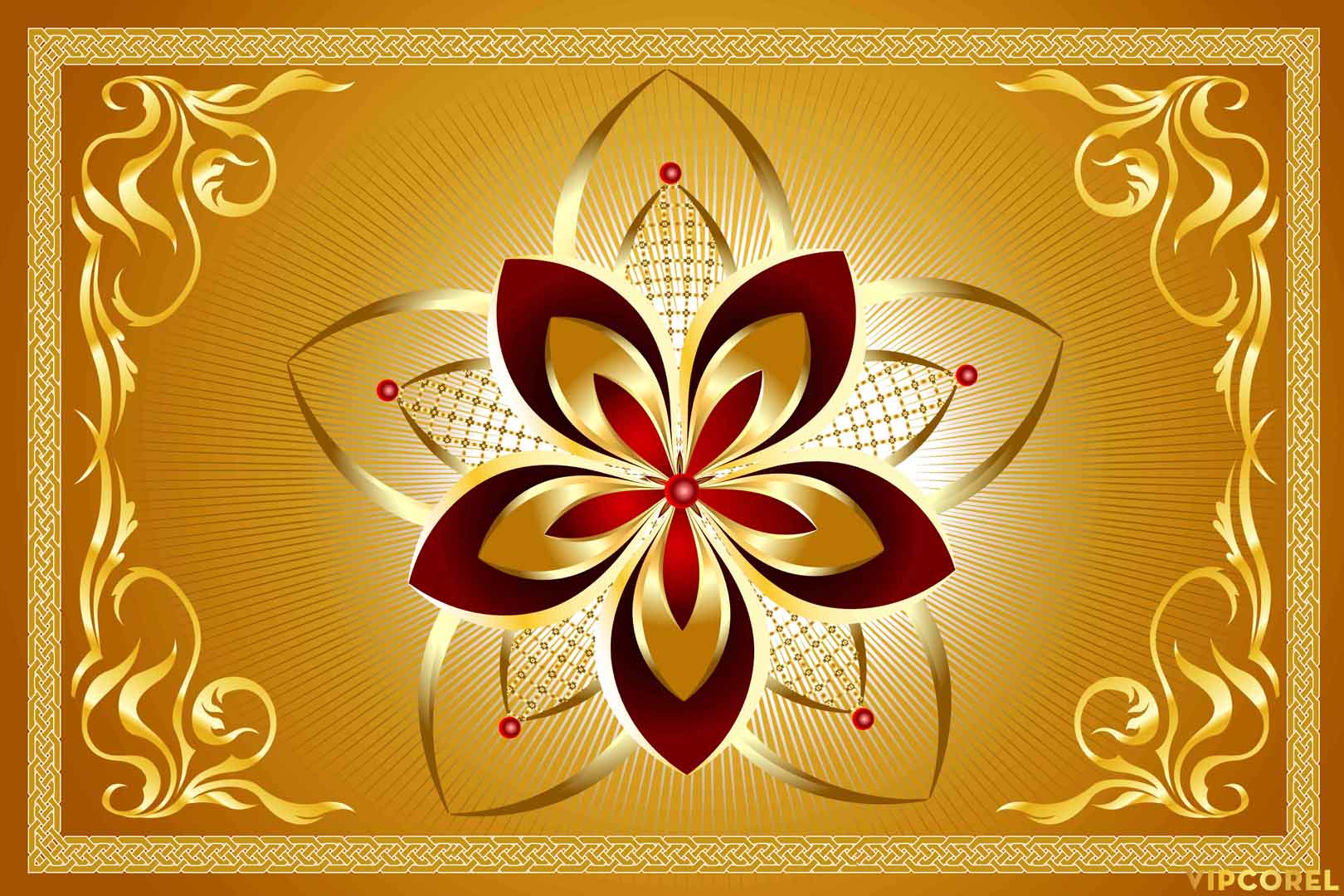 VIPcorel.com_12213.jpg