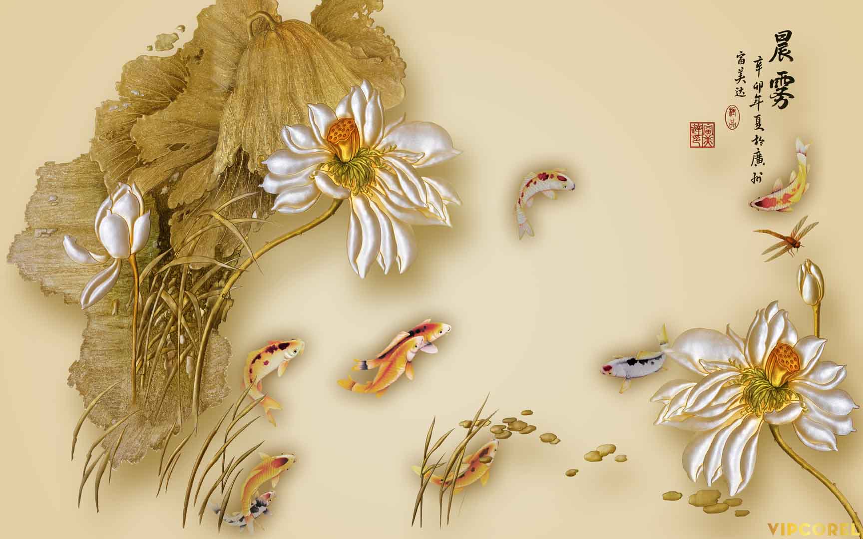 VIPcorel.com_12223.jpg
