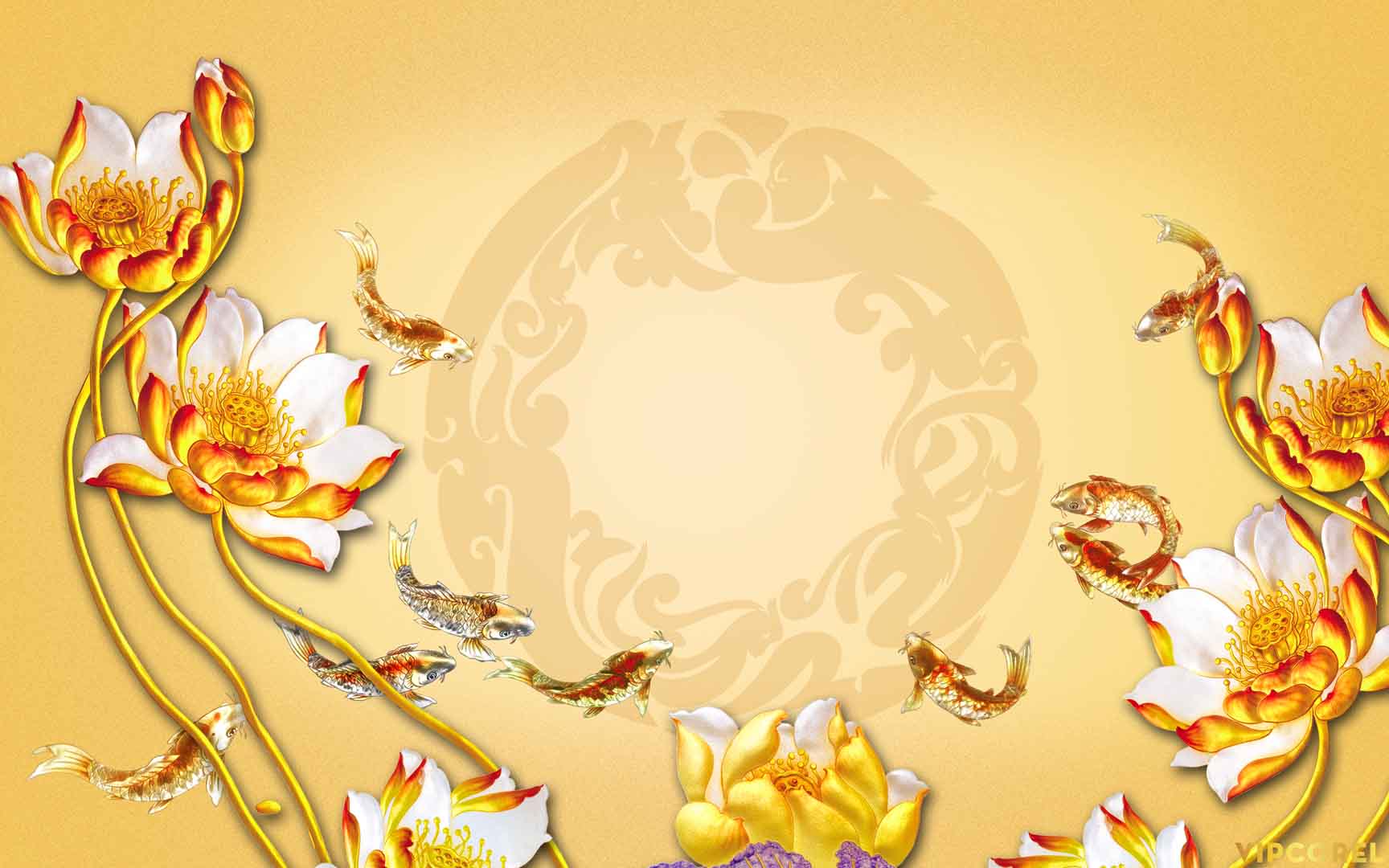 VIPcorel.com_12240.jpg