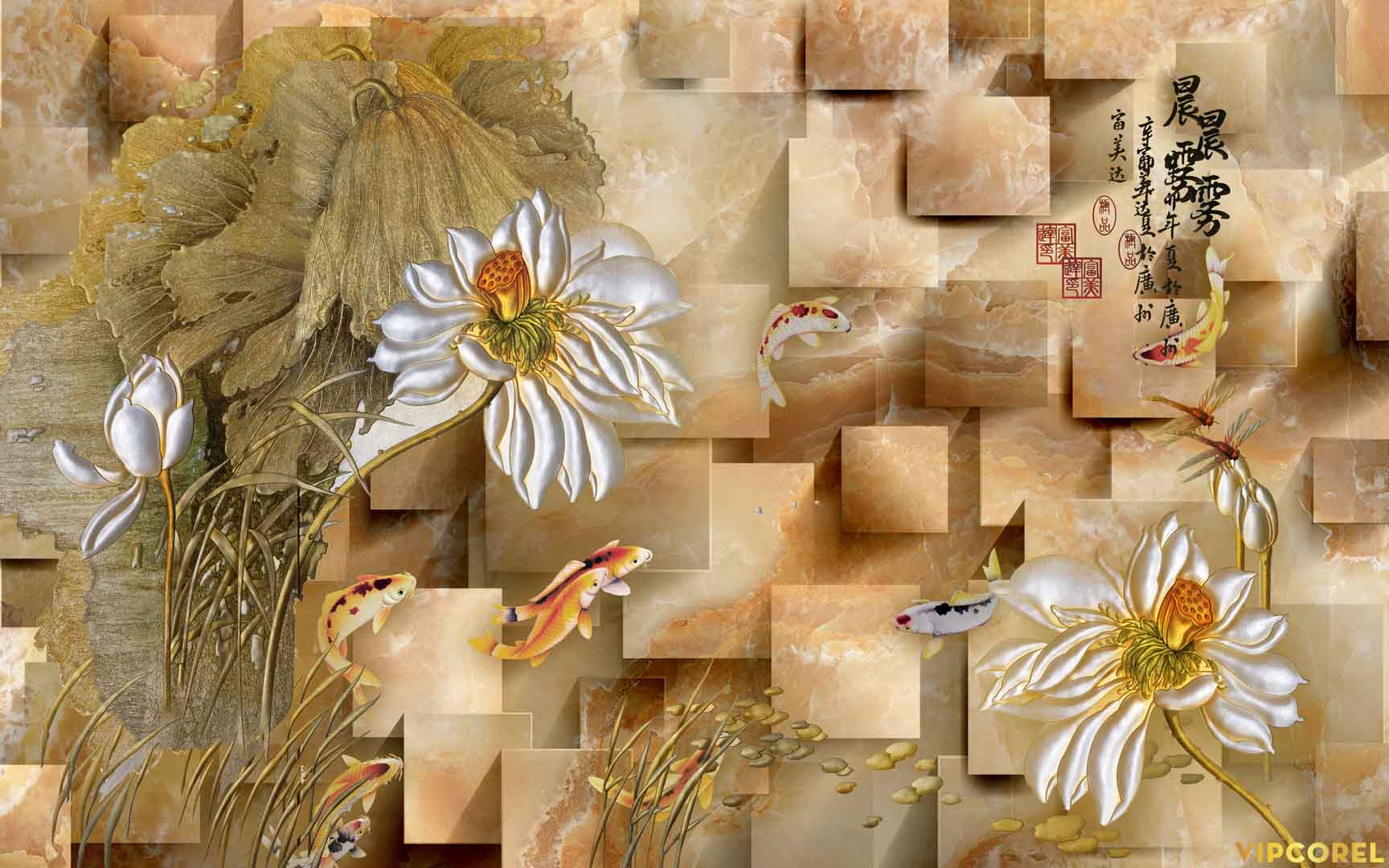 VIPcorel.com_12241.jpg
