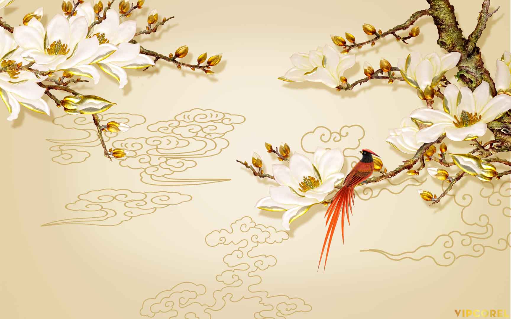 VIPcorel.com_12249.jpg