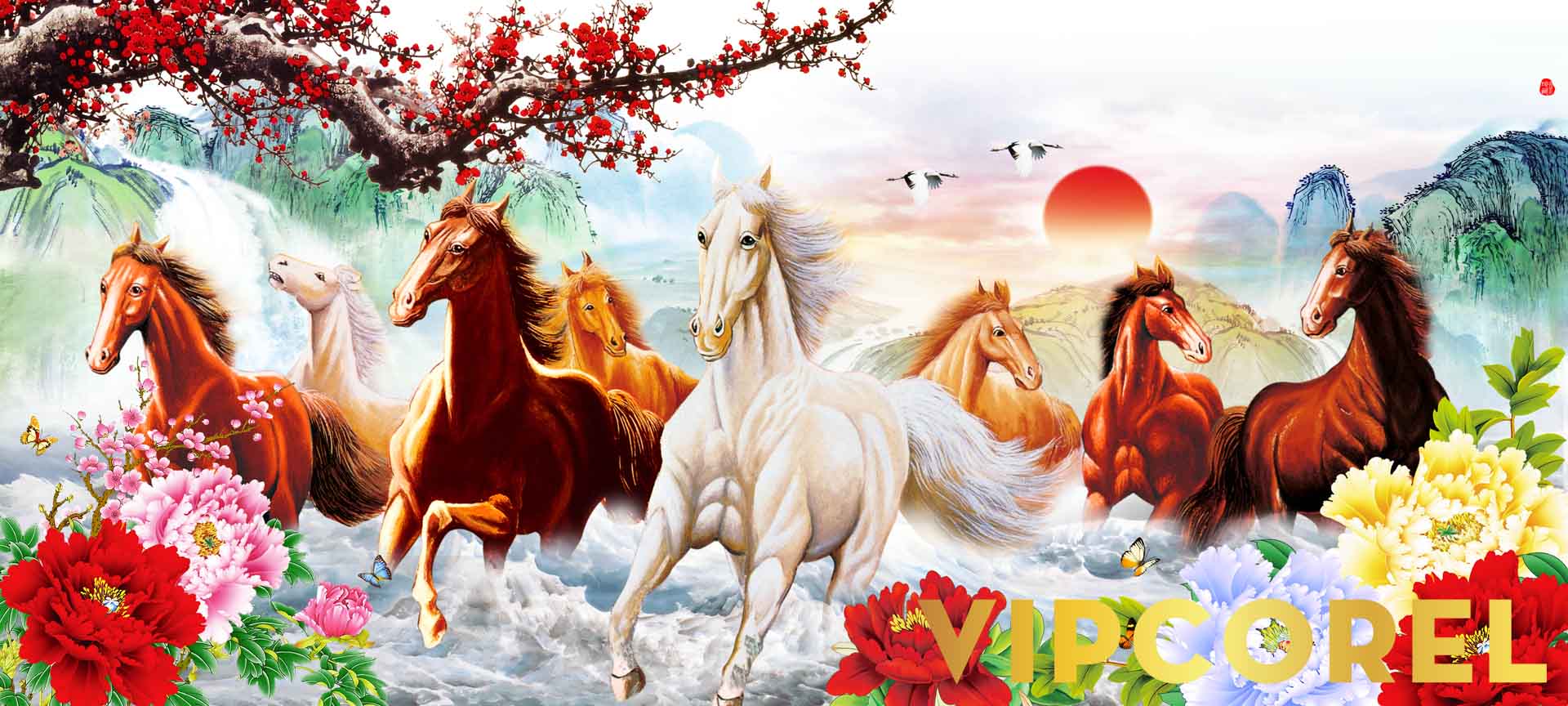 VIPcorel.com_12262.jpg