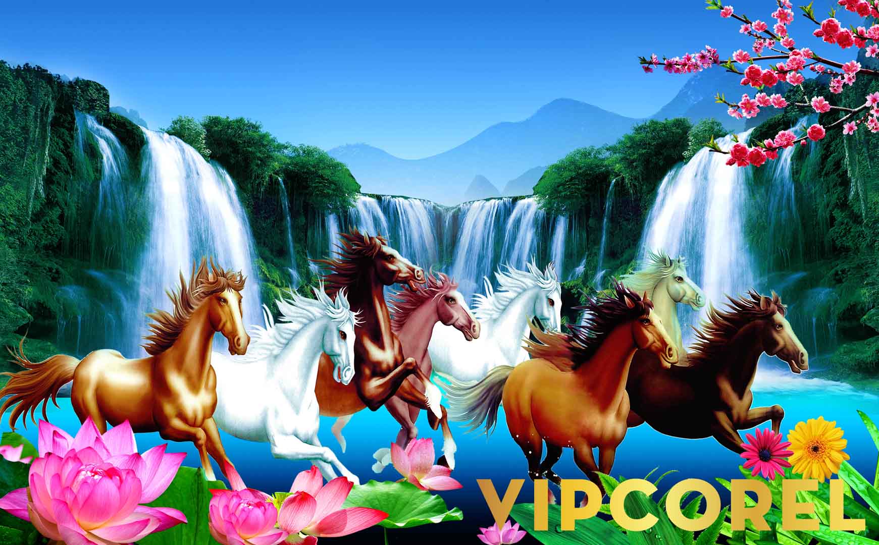 VIPcorel.com_12263.jpg