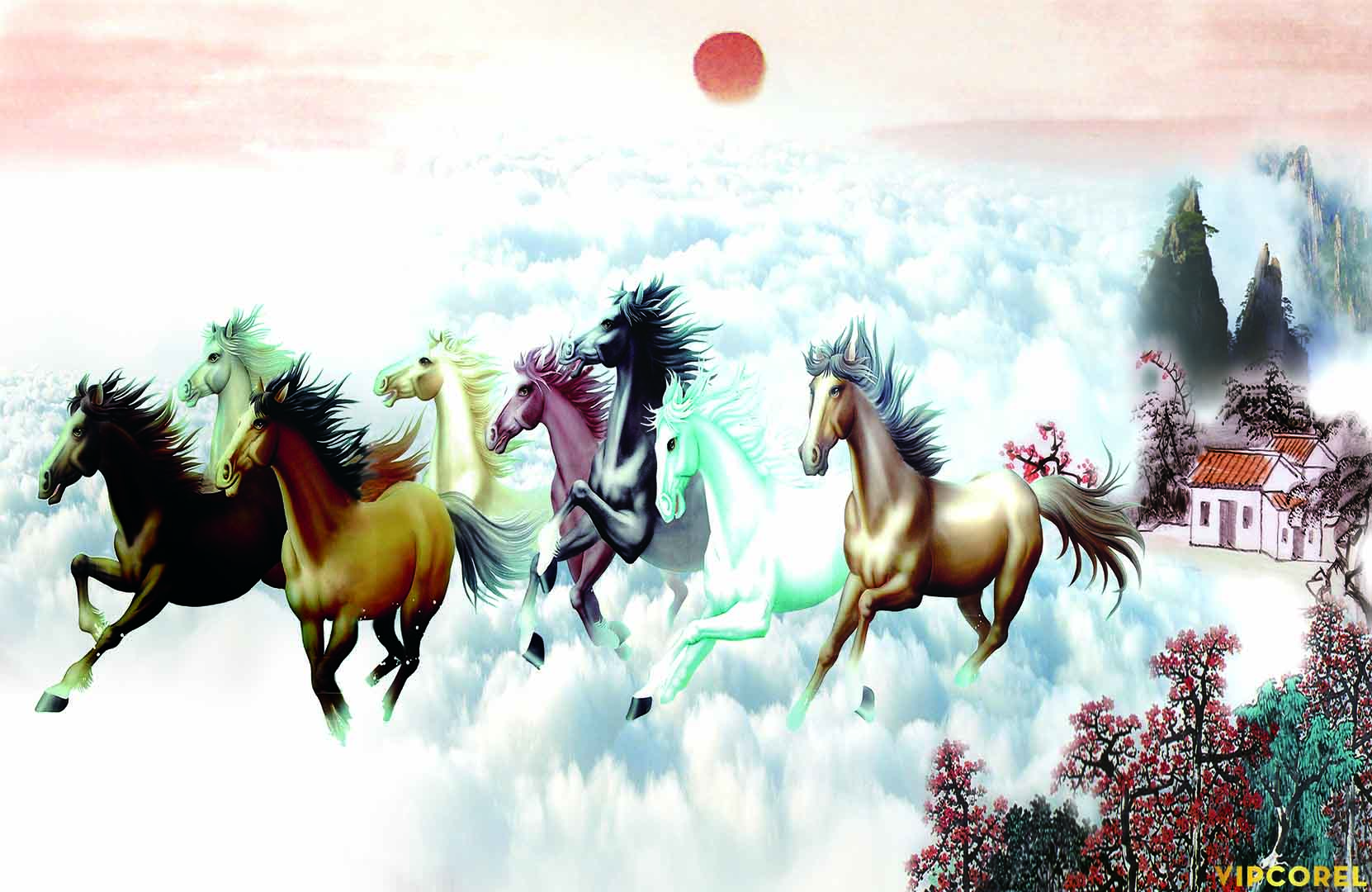 VIPcorel.com_12264.jpg