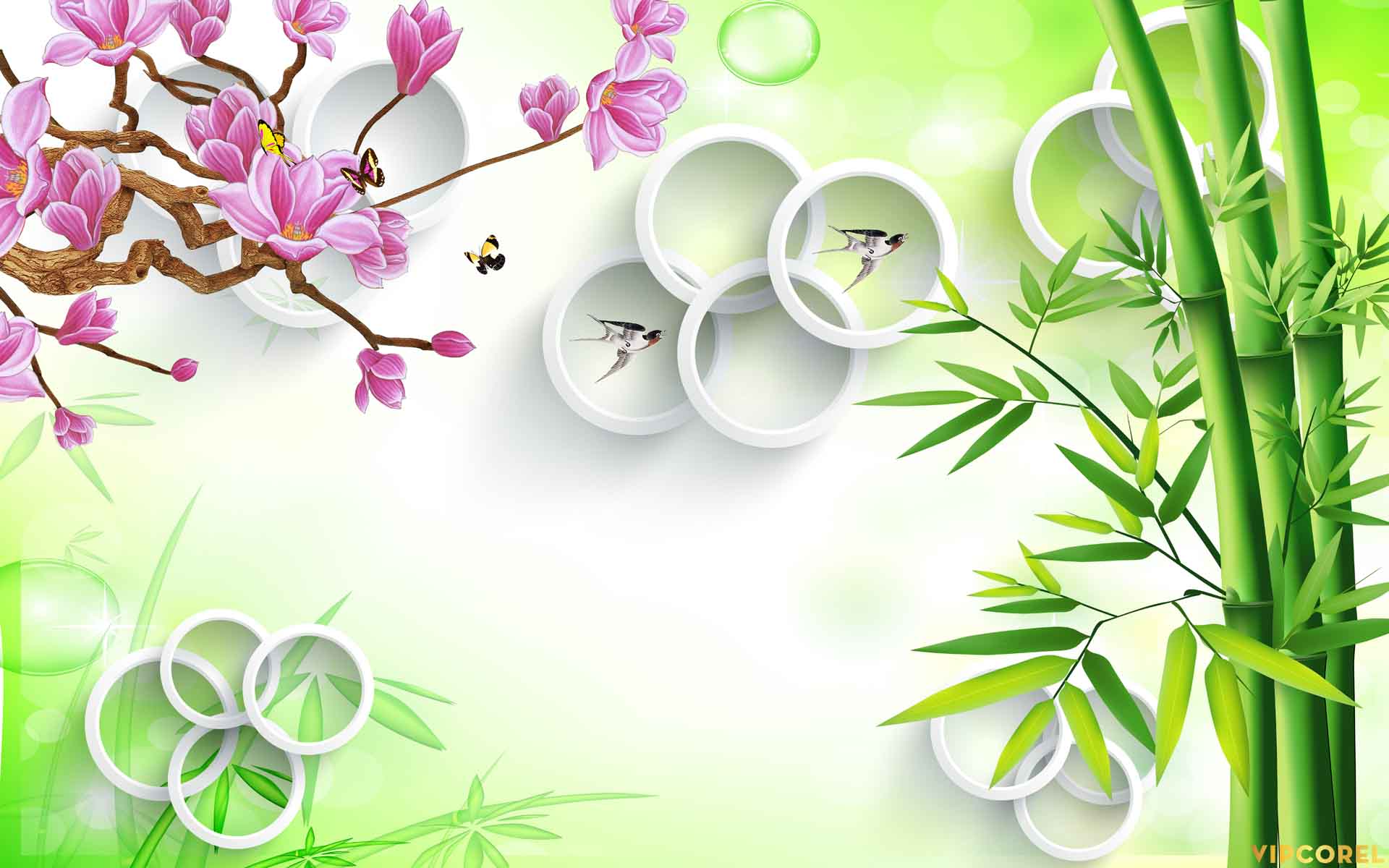 VIPcorel.com_12268.jpg