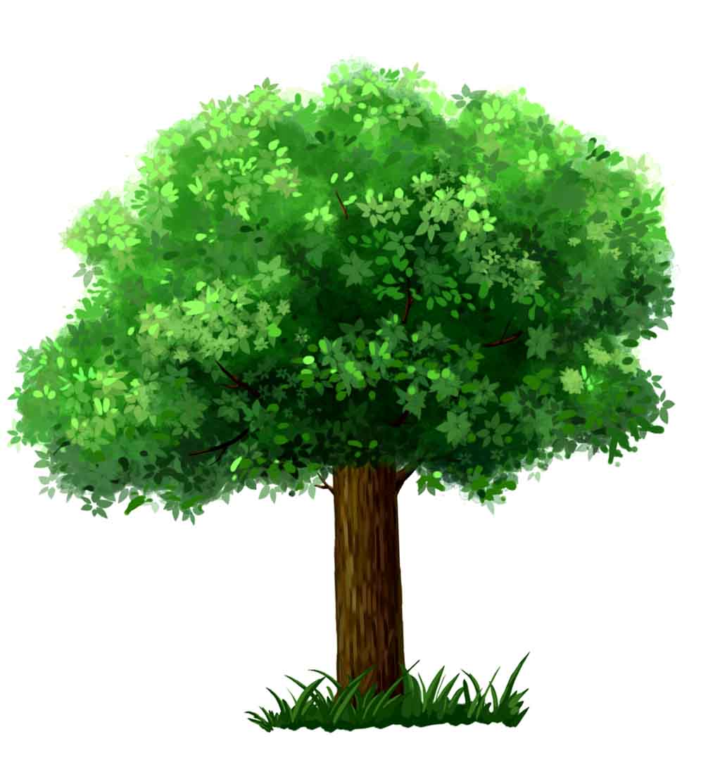 VIPcorel.com_12450 8.jpg