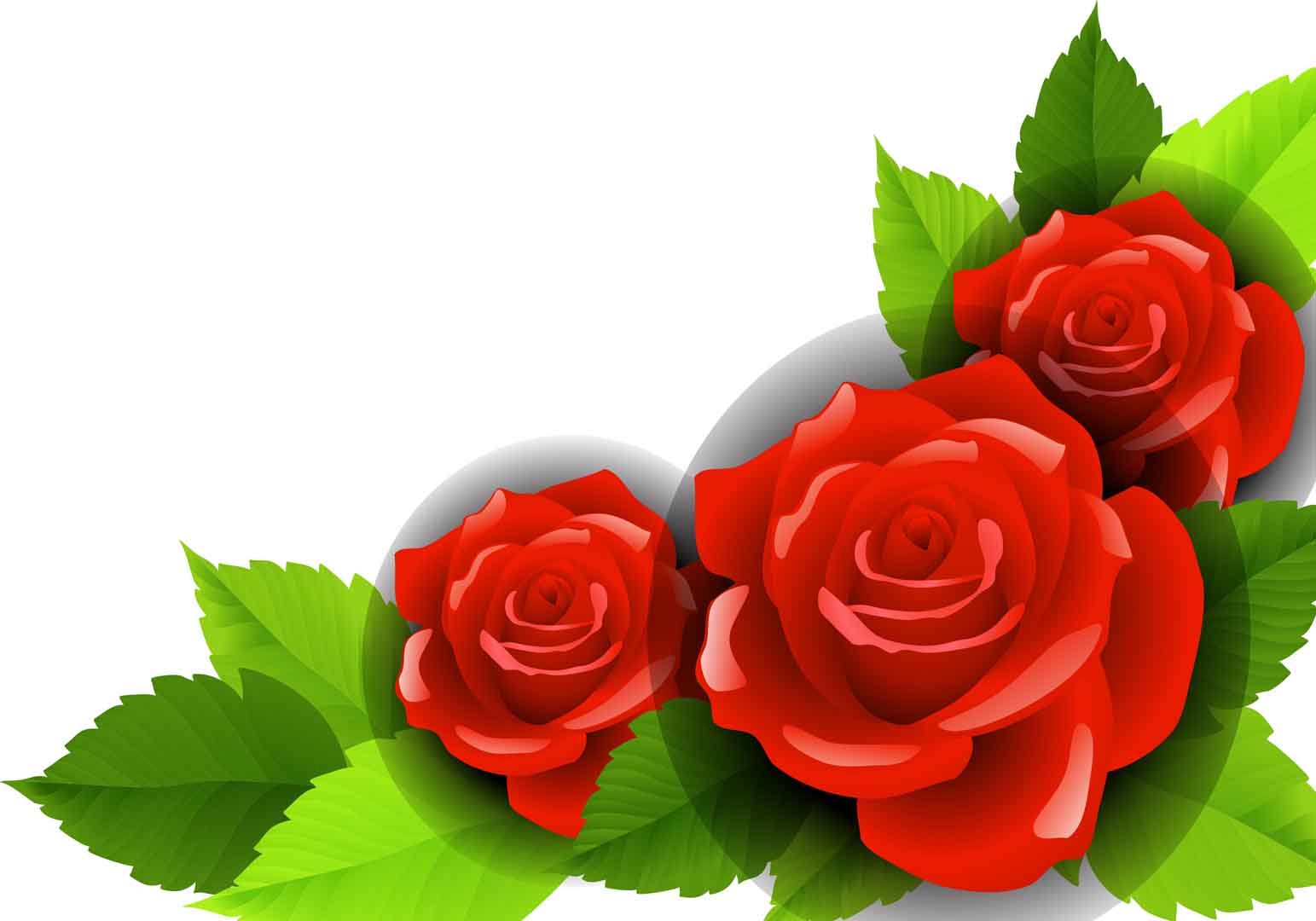 VIPcorel.com_12453 5.jpg