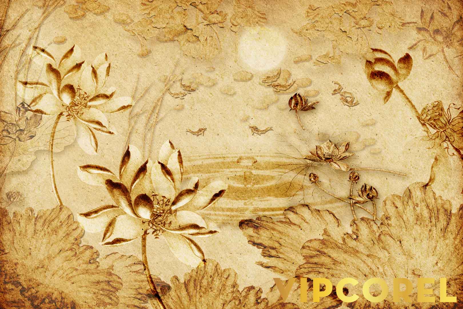 VIPcorel.com_12508.jpg