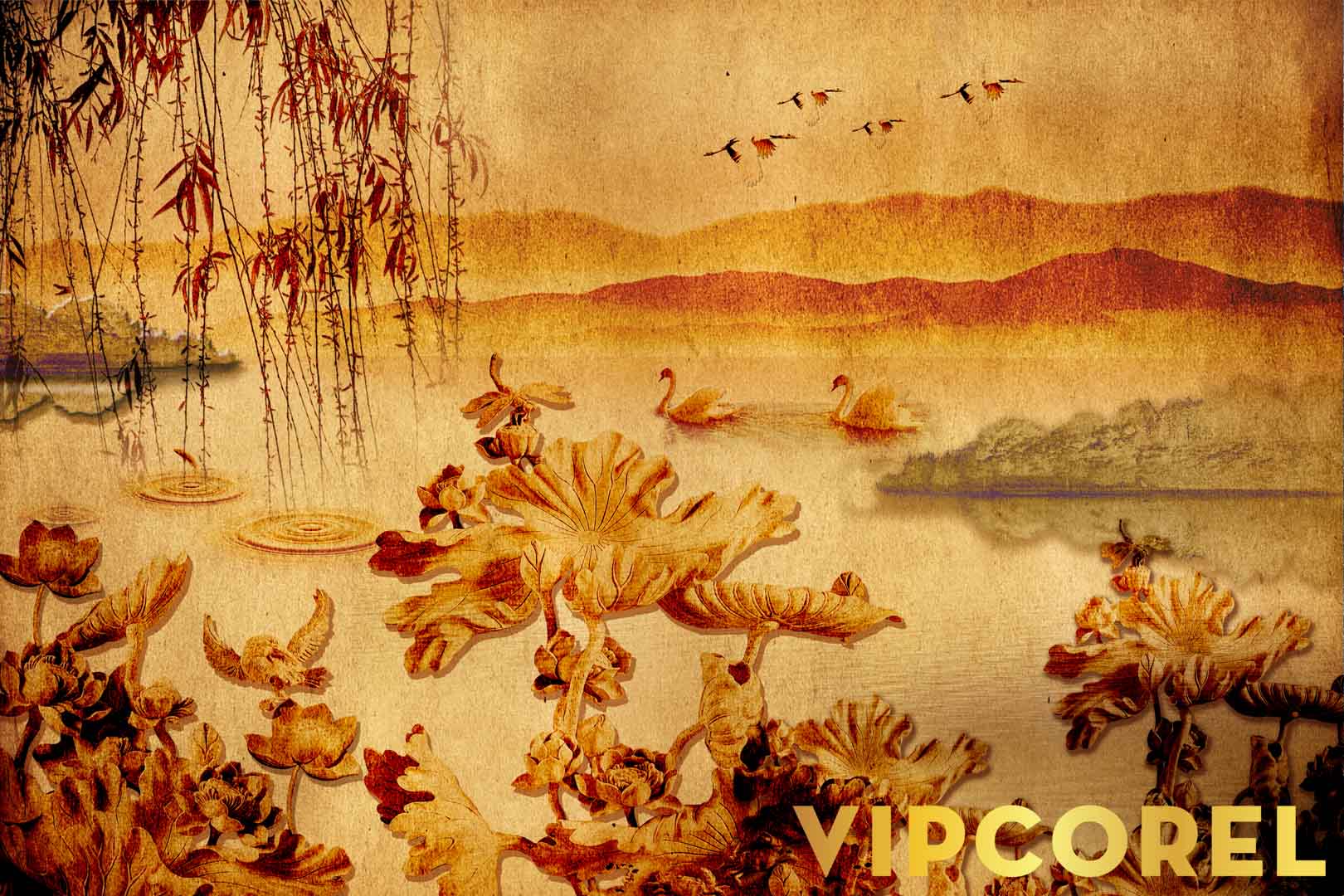 VIPcorel.com_12509.jpg