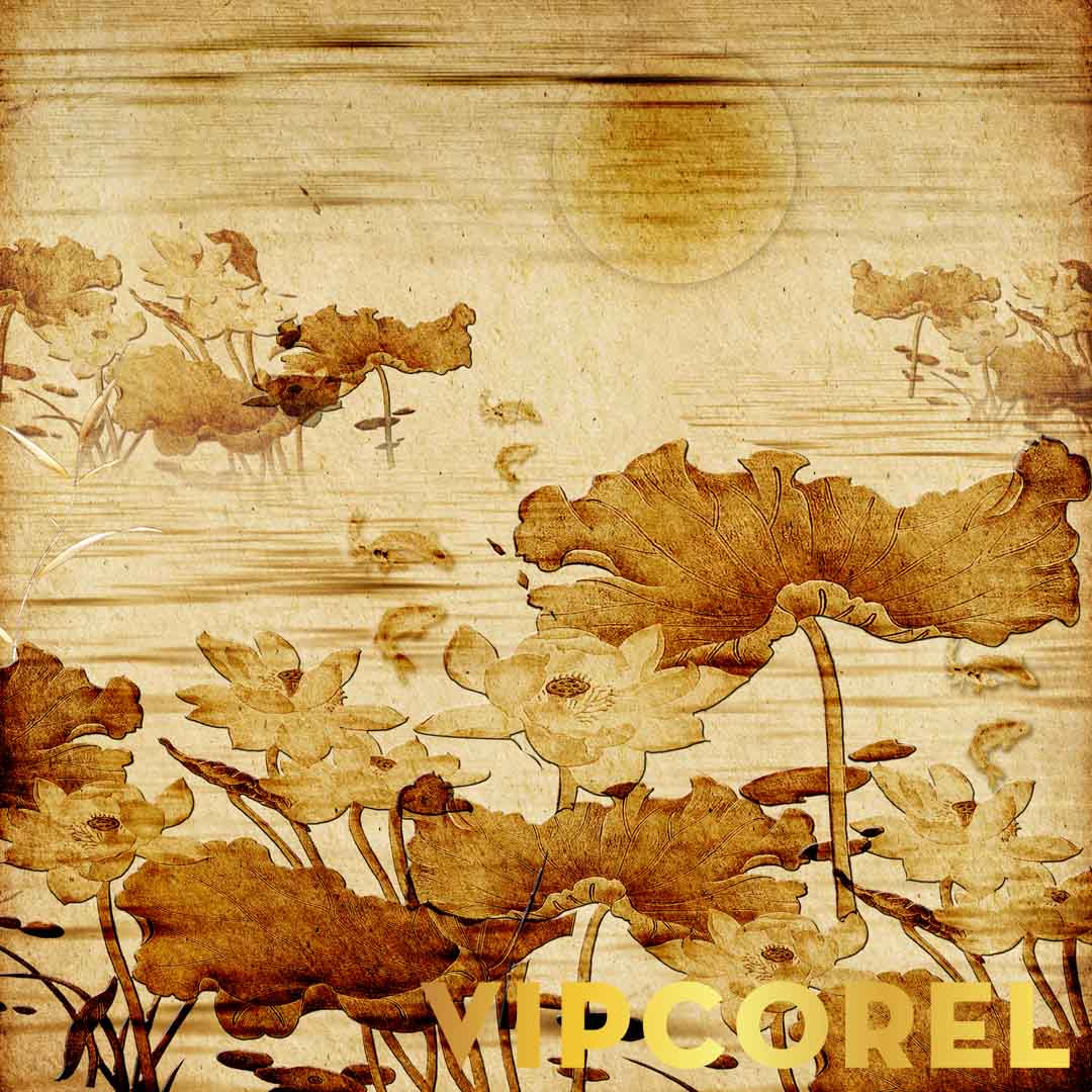 VIPcorel.com_12511.jpg