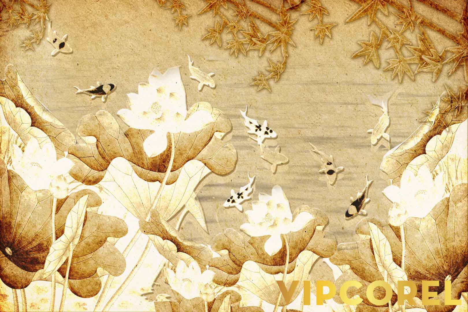 VIPcorel.com_12512.jpg