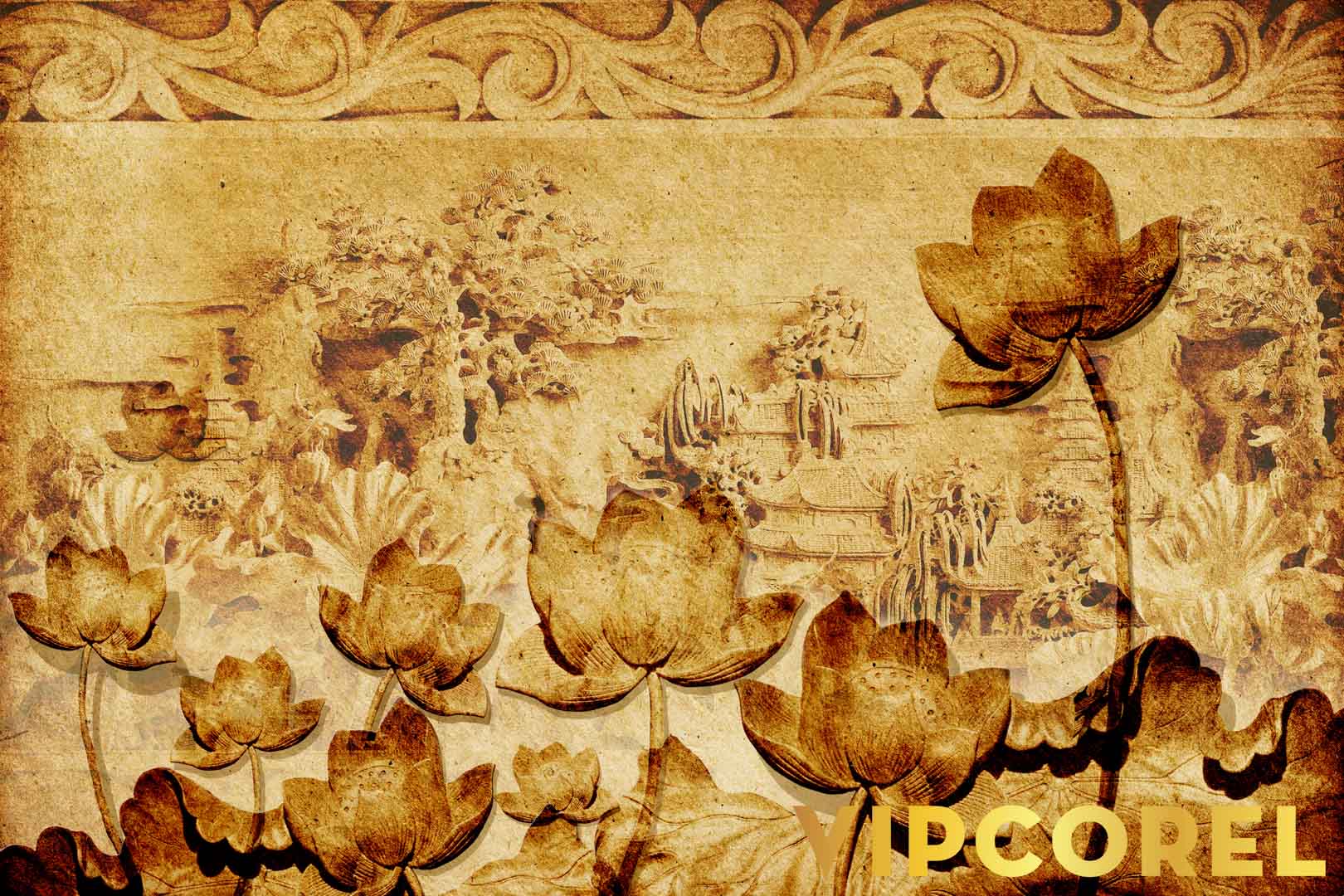 VIPcorel.com_12516.jpg