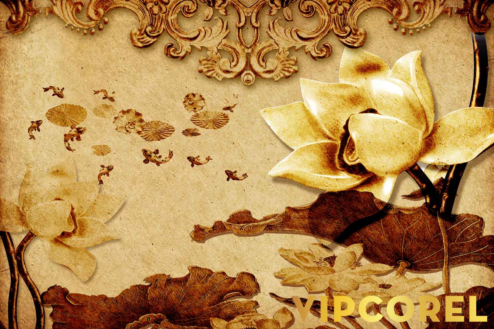 VIPcorel.com_12517.jpg