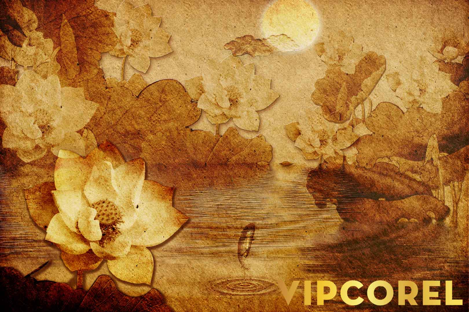 VIPcorel.com_12518.jpg