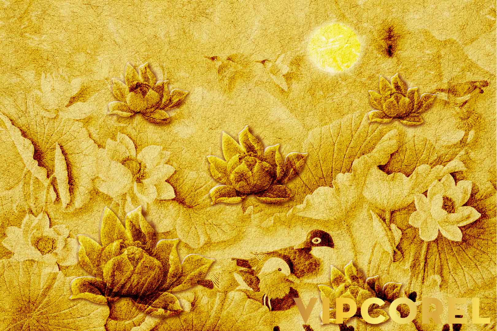 VIPcorel.com_12519.jpg