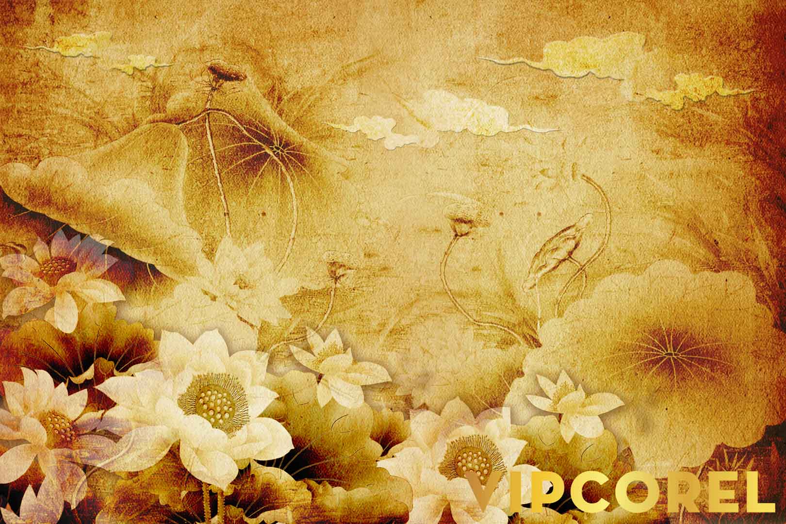 VIPcorel.com_12521.jpg