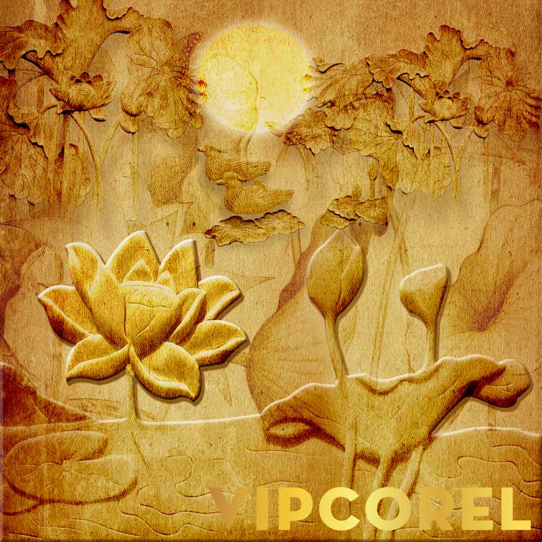 VIPcorel.com_12534.jpg