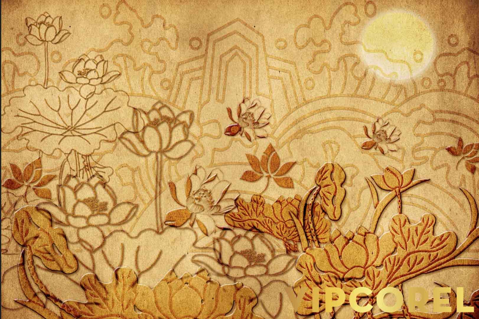 VIPcorel.com_12541.jpg