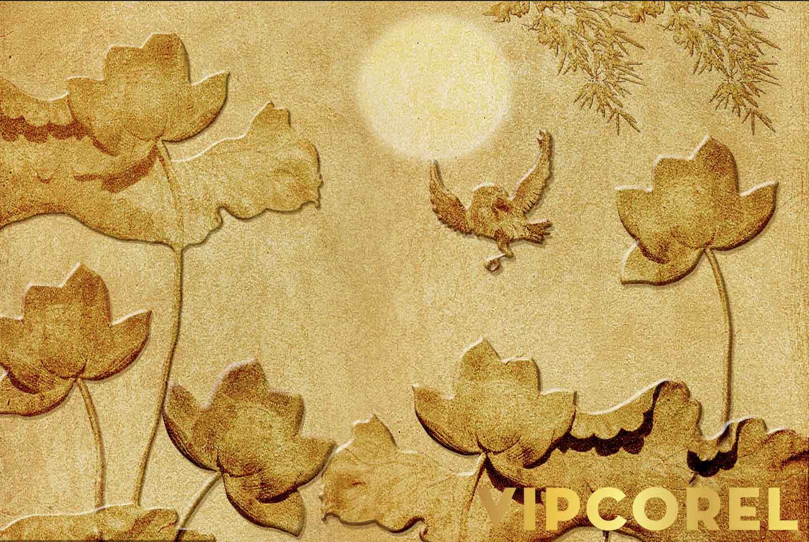 VIPcorel.com_12547.jpg