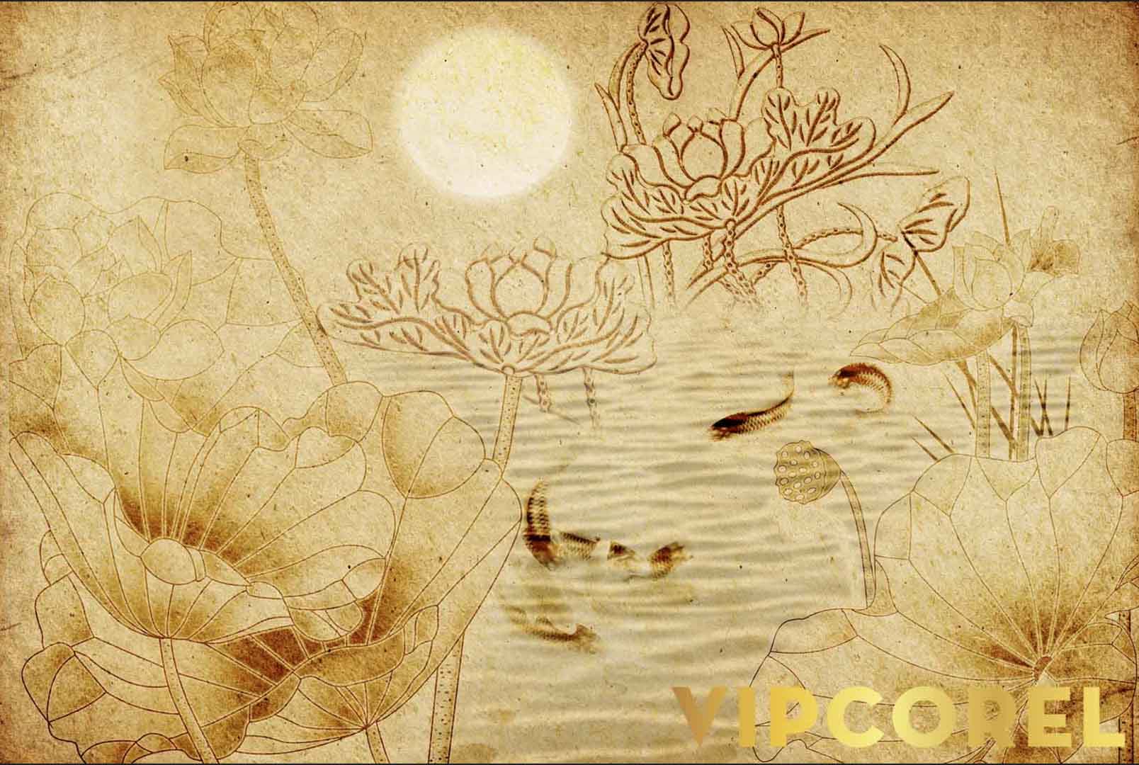 VIPcorel.com_12548.jpg