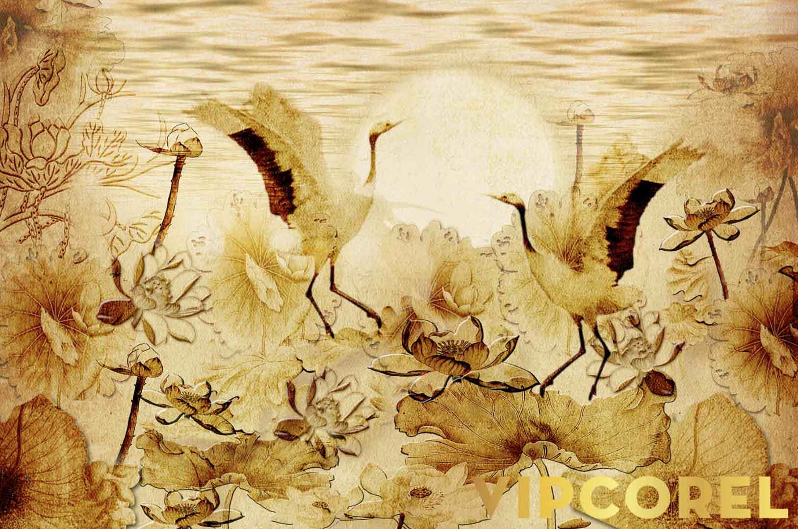 VIPcorel.com_12552.jpg