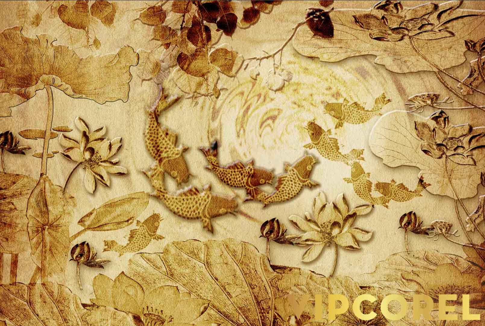 VIPcorel.com_12553.jpg