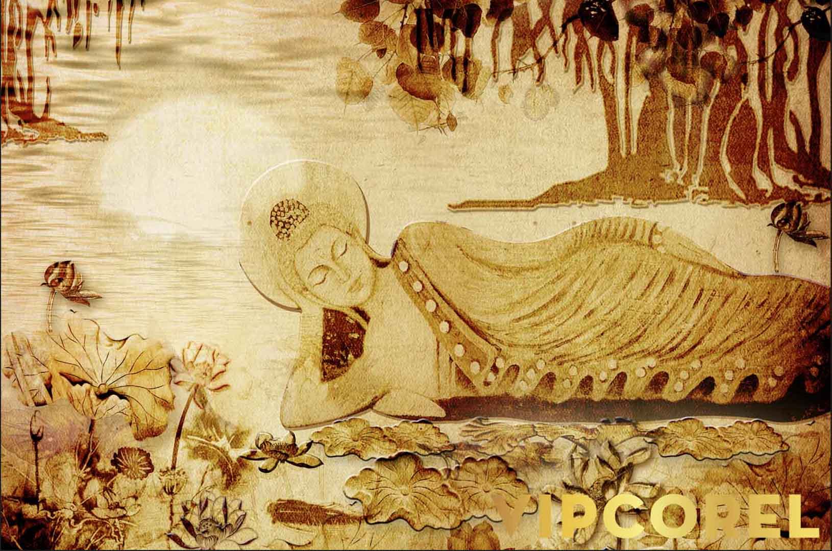 VIPcorel.com_12554.jpg