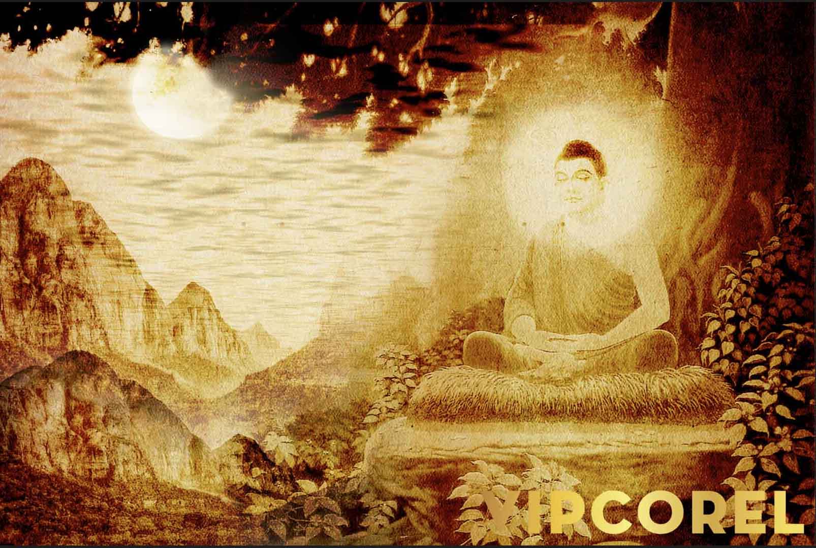VIPcorel.com_12558.jpg