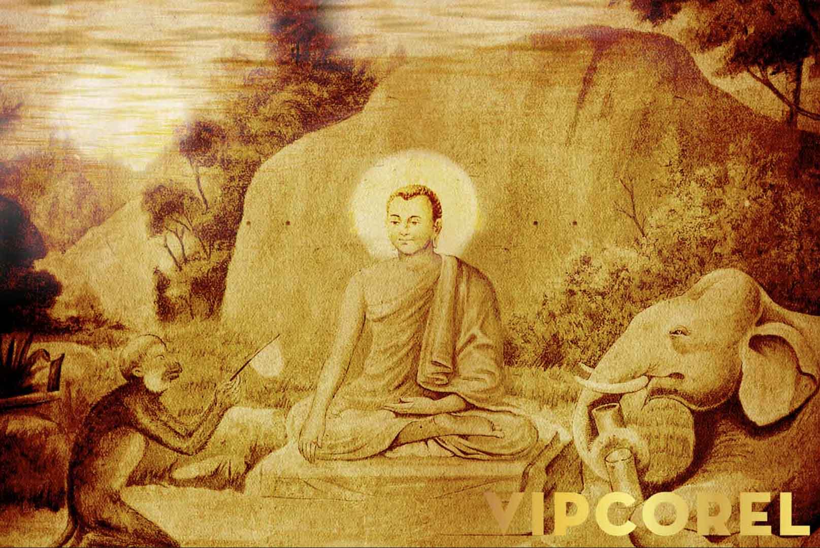 VIPcorel.com_12560.jpg