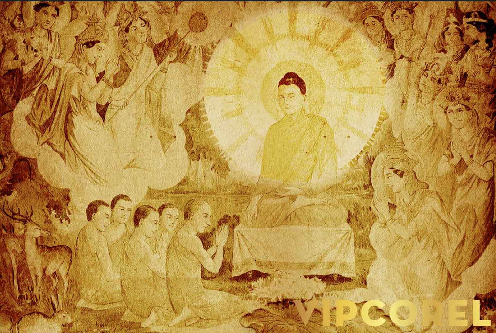 VIPcorel.com_12561.jpg