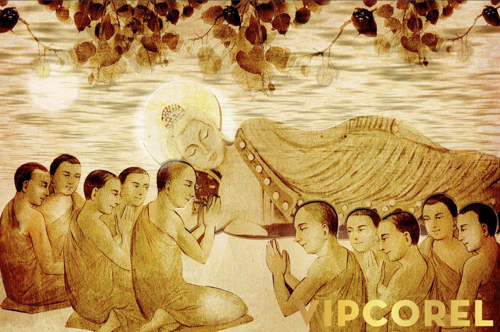 VIPcorel.com_12567.jpg