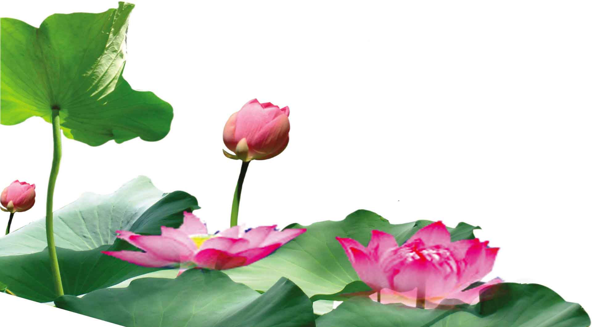 VIPcorel.com_12582 5.jpg
