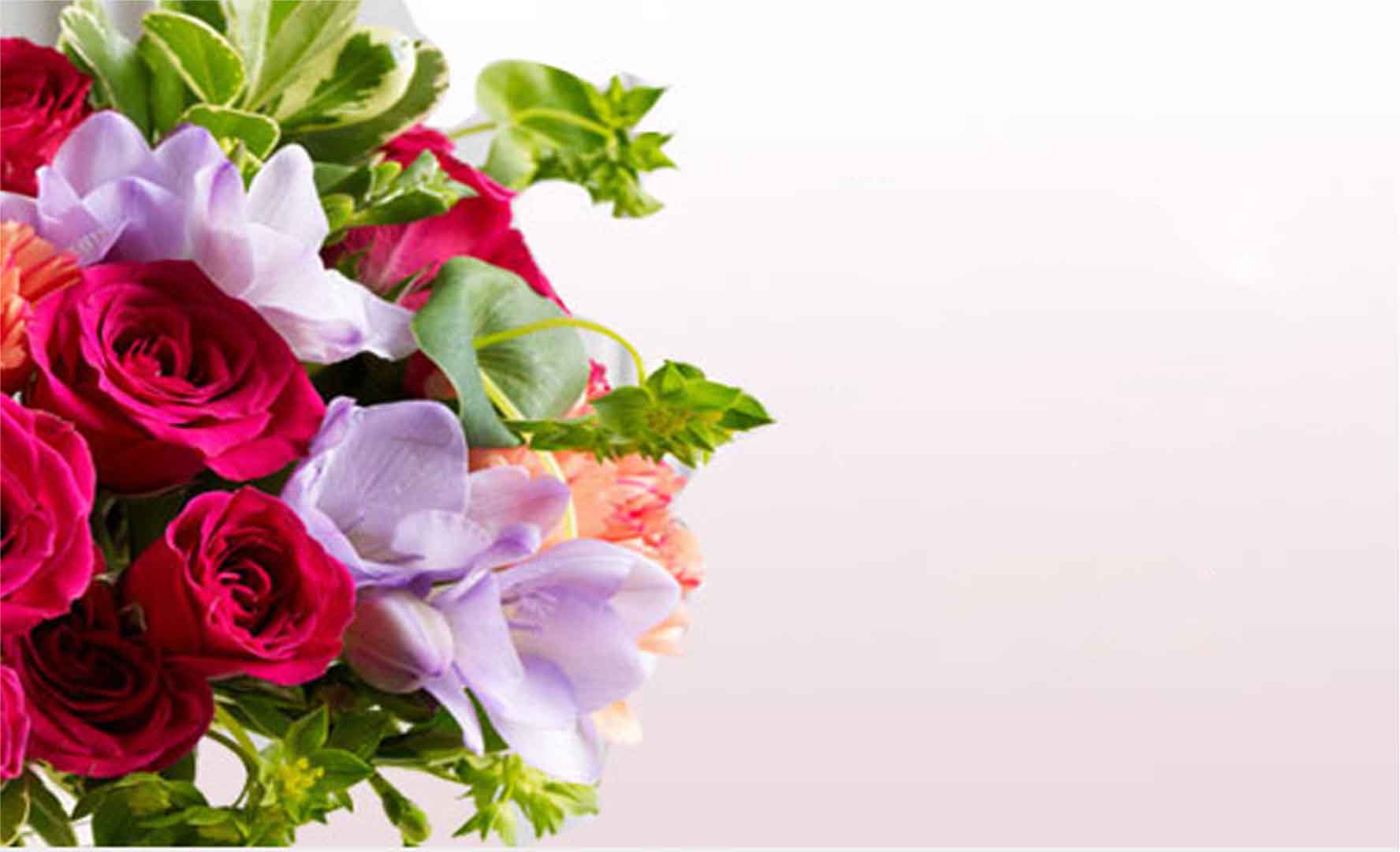 VIPcorel.com_12585 2.jpg
