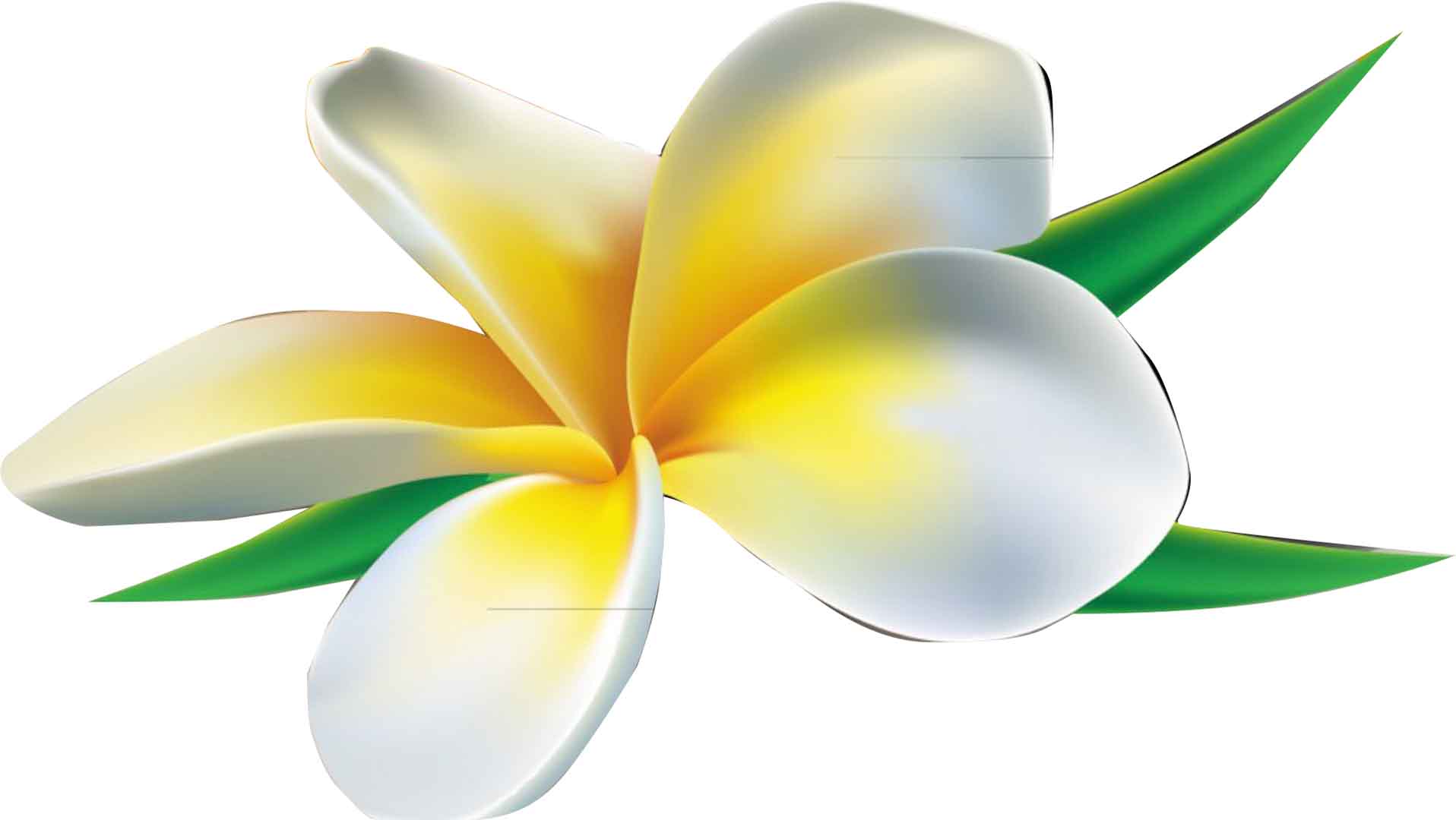 VIPcorel.com_12588.jpg